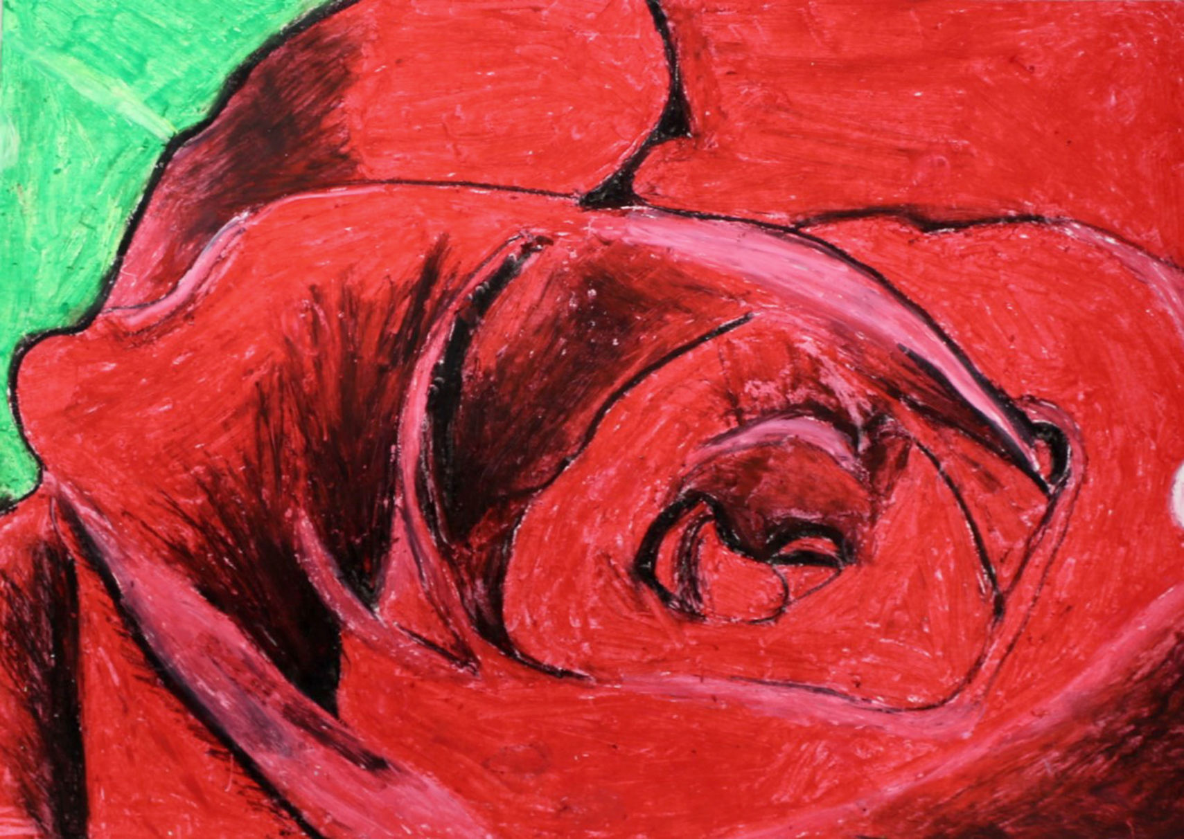 Face of a rose